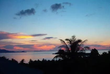 Tamu Villa and Saya Villa - 5