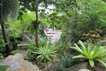 Sukhavati Retreat - 3