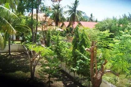 Dolphin Bay Beach Villa - 4