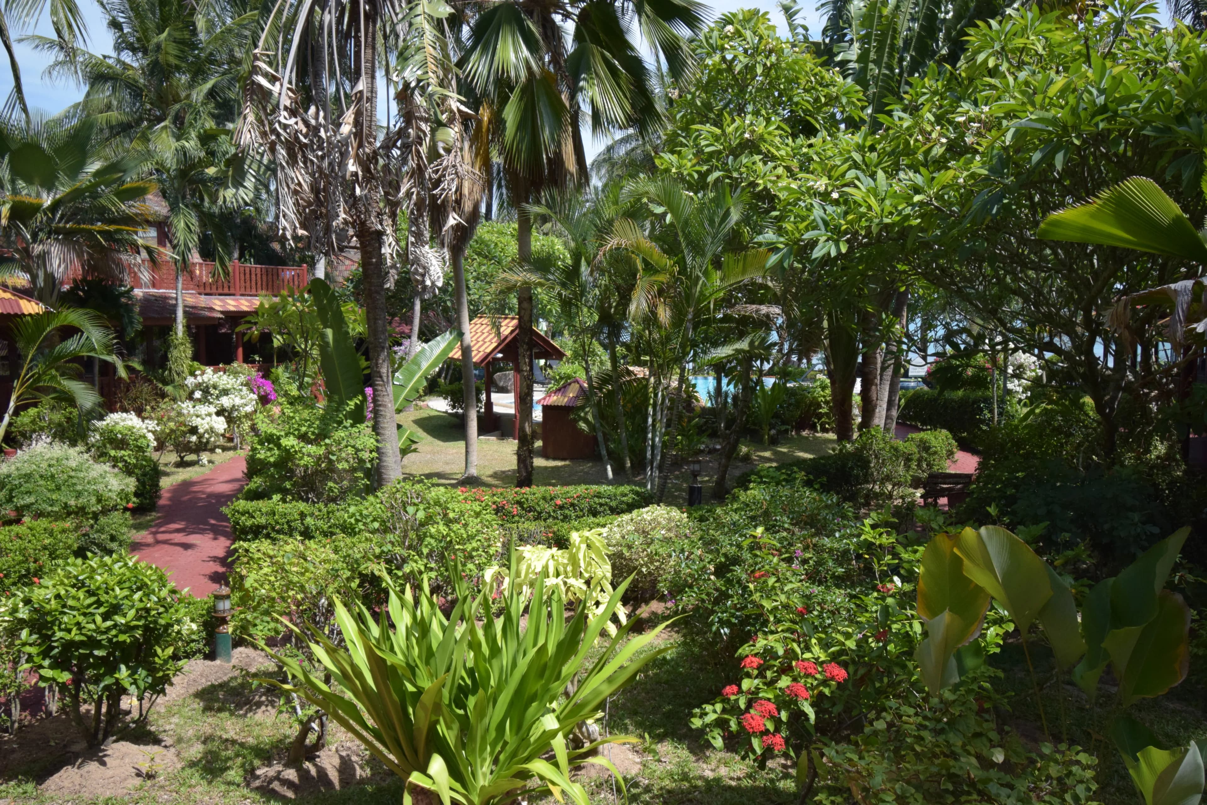 Coconut Tropicana Villa T5 - 4