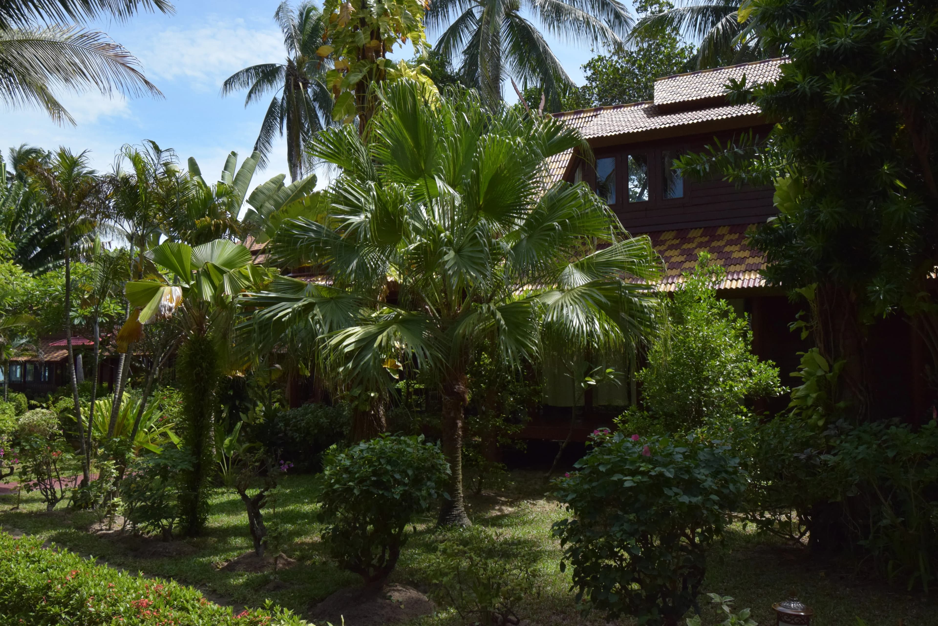 Coconut Tropicana Villa T5 - 5