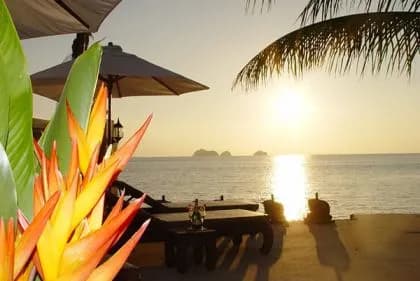 Sibaja Palms Sunset Beach Villa - 5