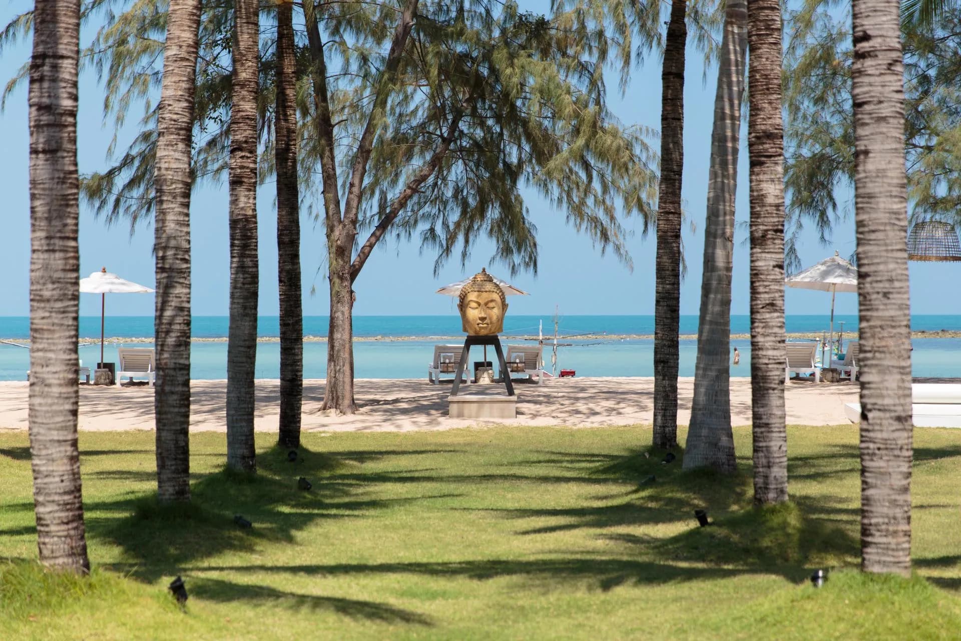 Mia Estate - 3