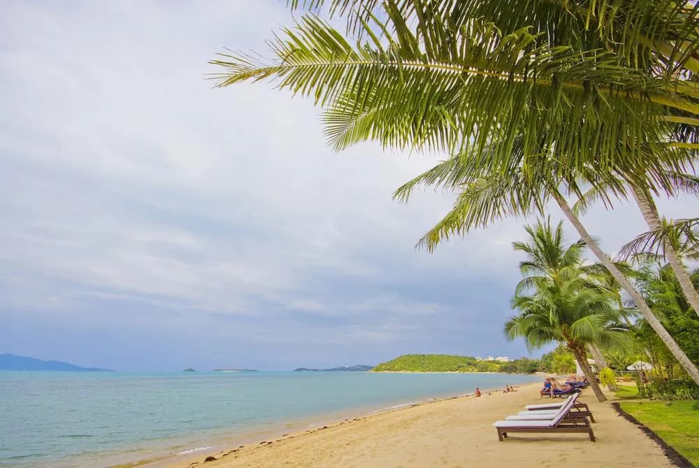 Osho Beachfront Apartments - 3