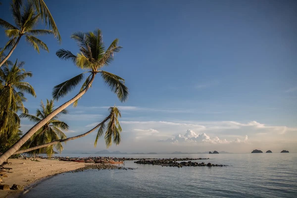 The Five Islands Beach House - 3