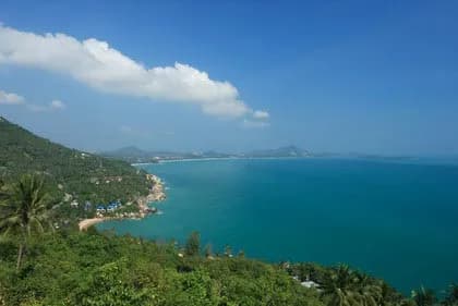 The Pineapple House - 4